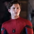 Spider-Sondages