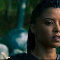 Ren�e Elise Goldsberry rejoint Mike Colter dans la s�rie Cupertino
