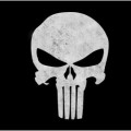 The Punisher r�v�le son casting !