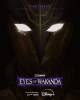 Marvel Eyes of Wakanda | Posters promotionnels - Saison 1 
