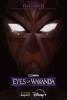 Marvel Eyes of Wakanda | Posters promotionnels - Saison 1 