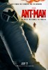 Marvel Ant-Man - Posters 
