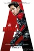 Marvel Ant-Man - Posters 