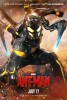 Marvel Ant-Man - Posters 