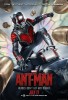 Marvel Ant-Man - Posters 
