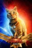 Marvel Captain Marvel - Posters 
