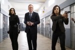 Marvel Melinda May : personnage 